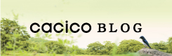 CACICO BLOG